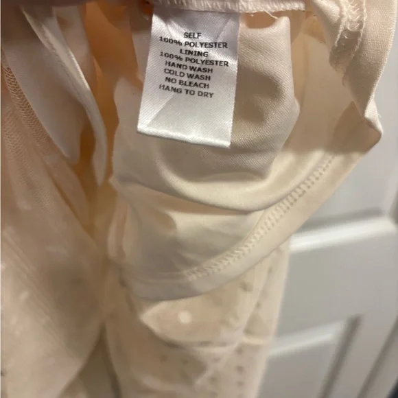 Entry Ivory Embroidered Maxi Dress with Sheer Polka Dot Overlay - Picture 14 of 15